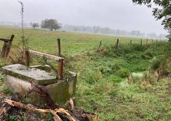 Stauanlage im 3.500/015 vor der Sanierung © Landkreis Stendal, Umweltamt